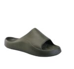 ZEE-POT - L.OLIVE - Image 2