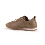 Z-٧٠٠ - Brown - Image 4